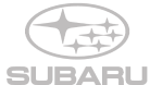 Car Logo